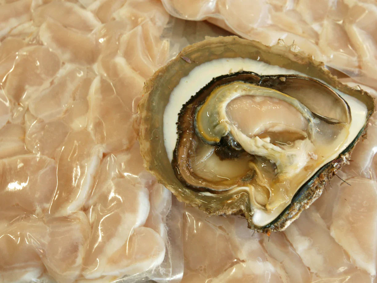 What Are South Sea Pearls?