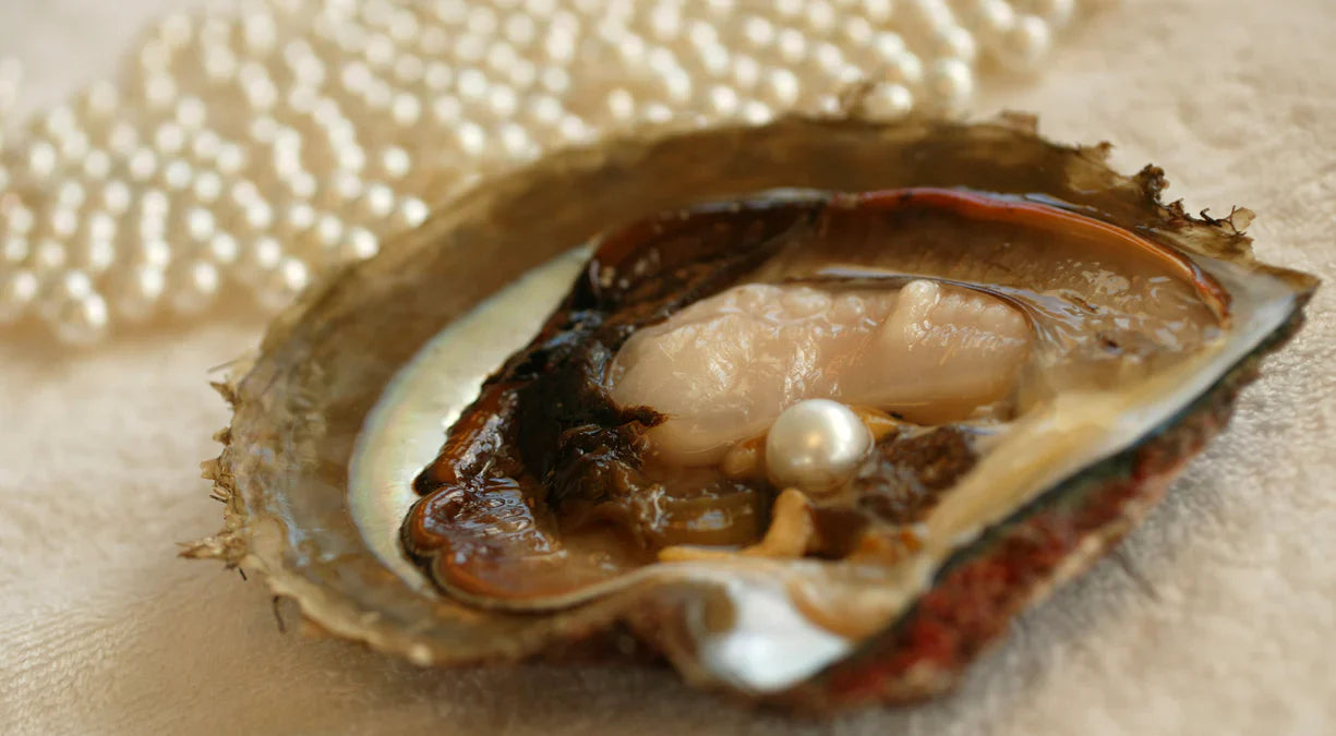 Extraction of Pearls