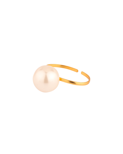 Royal Pallu Holder - Anaash X Ekaya